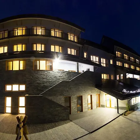 Pensiunea Art 1000 Lunca Visagului