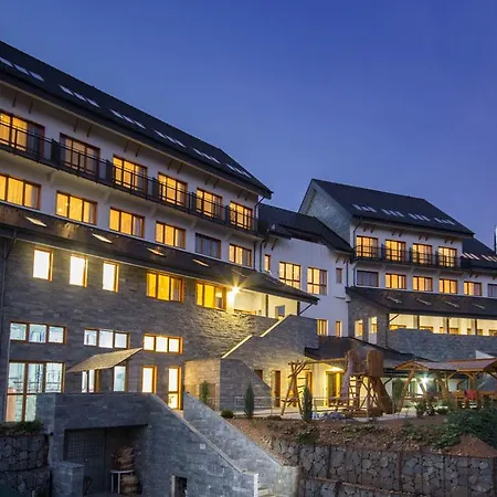 Hotel Pensiunea Art 1000