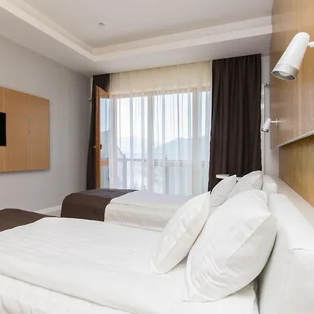 Pensiunea Art 1000 Hotel 3*