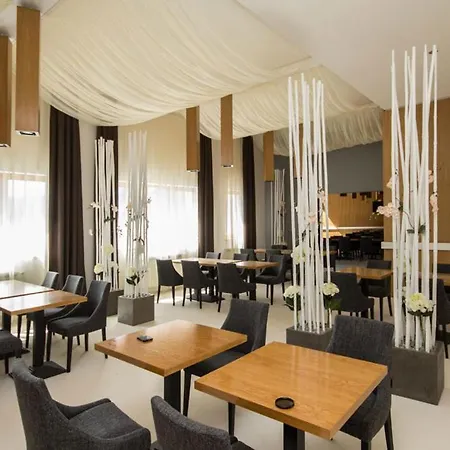 Hotel Pensiunea Art 1000 3*